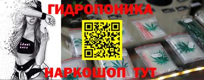 гашик Кулебаки