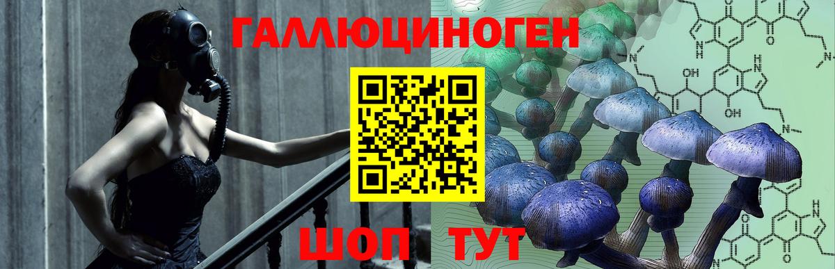 Псилоцибиновые грибы Cubensis  Галлюциногенные грибы мицелий  где найти   Вход с VPN  Жигулёвск 